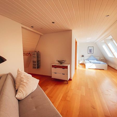Rheinloft 3 - Grosse Giebelwohnung Mit Dachterrassen An Der Rheinpromenade Emmerich Dış mekan fotoğraf